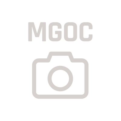 MG GT Engine Restored